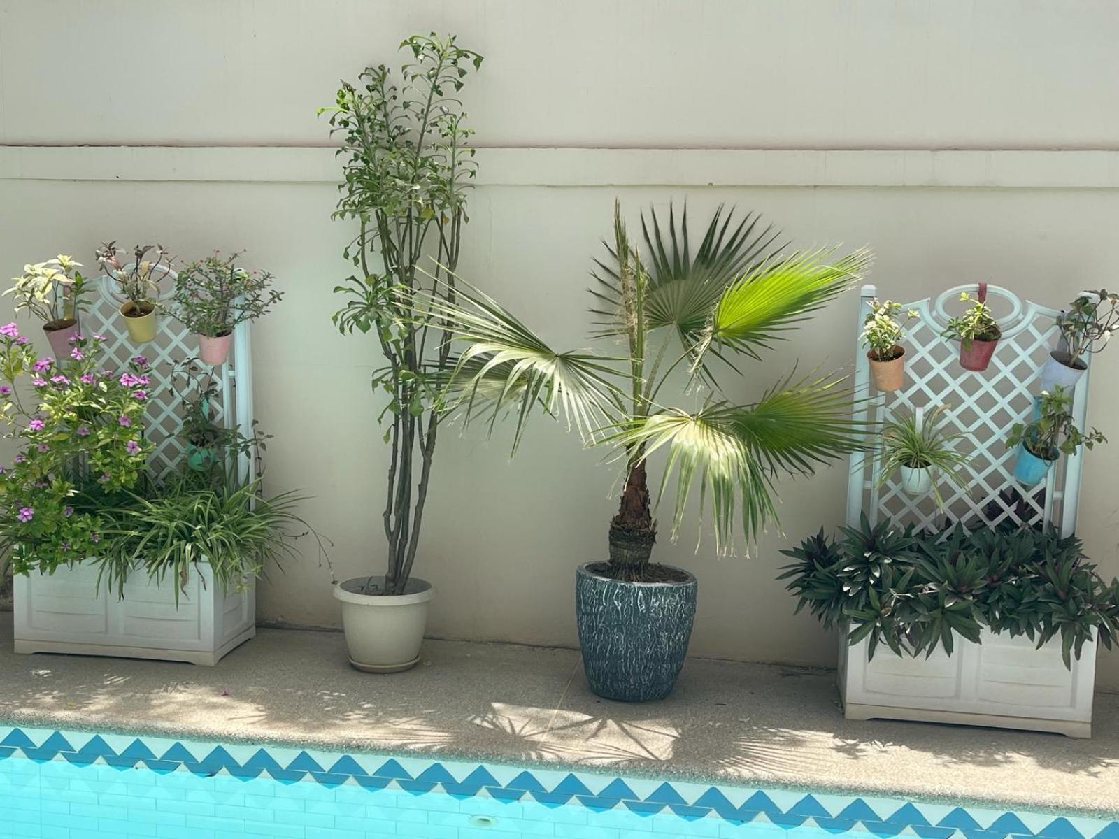 Villa Ngore Saly Bagian luar foto